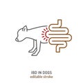 IBD in dogs. Linear icon, pictogram, symbol.