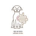 IBD in dogs. Linear icon, pictogram, symbol.