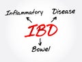 IBD - Inflammatory Bowel Disease acronym, medical concept background Royalty Free Stock Photo