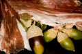 Iberian acorn ham. Produced from pork meat
