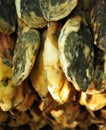 Iberian hams in the drying shed Royalty Free Stock Photo
