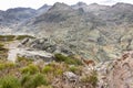 The Iberian ibex (Capra pyrenaica), one female animal standing on a rock in Sierra de Gredos mountains, Spain.