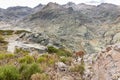 The Iberian ibex (Capra pyrenaica), one female animal standing on a rock in Sierra de Gredos mountains, Spain.