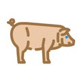 iberico pig breed color icon vector illustration