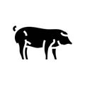 iberico pig breed glyph icon vector illustration