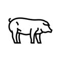 iberico pig breed line icon vector illustration