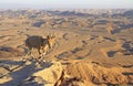 Ibex on the cliff at Ramon Crater in Israel