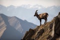 ibex surveying its territory from high cliff, with distant mountains in the background