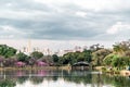 Ibirapuera Park in Sao Paulo, Brazil Brasil Royalty Free Stock Photo