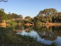 Ibirapuera Park Royalty Free Stock Photo