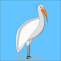 Ibis bird cartoon