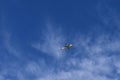 Ibis bird flying clear blue sky