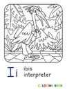 Ibis interpreter or translator. ABC Coloring book Royalty Free Stock Photo