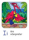 Ibis interpreter Funny animals and professions ABC Royalty Free Stock Photo