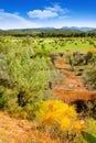 Ibiza island landscape with agriculture fields Royalty Free Stock Photo