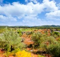 Ibiza island landscape with agriculture fields Royalty Free Stock Photo