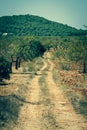 Ibiza island landscape with agriculture fields on red clay soil Royalty Free Stock Photo