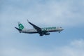 IBIZA, SPAIN - CIRCA 2017: Passenger Aircraft in Transavia Liver