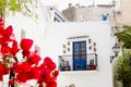 Ibiza white island corner flowers Royalty Free Stock Photo