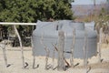 Drought in northeastern brazil