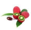 Ibrid fruit lycis-kiwi