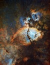 IC1795 Fish Head Nebula in Cassiopeia