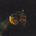 IC 443 (Jellyfish Nebula)