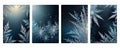 Ice Crystal Elegance: Frosty Designs