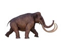 Ice Age Columbian Mammoth