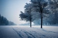 Ice age with frozen calm winter nature landscape with tree in hoarfrost and snow-covered road during christmas snowstorm