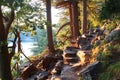 Beautiful Wisconsin summer nature background.