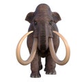 Ice Age Mammoth