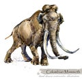 Ice Age wildlife. prehistoric period fauna. Columbian mammoth.