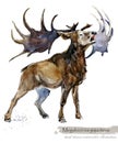 Ice Age wildlife. prehistoric period fauna. Megaloceros giganteus.