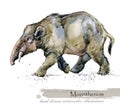 Ice Age wildlife. prehistoric period fauna. Moeritherium.