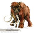 Ice Age wildlife. prehistoric period fauna. Woolly Mammoth. watercolor animal.