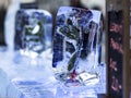 Ice bar with frozen rose in ice Royalty Free Stock Photo