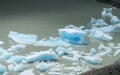 Ice berg, pieces of ice in water Royalty Free Stock Photo