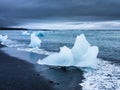 Ice on the black sand on the Icelandic beach. Ocean bay and icebergs. Landscapes in Iceland. Royalty Free Stock Photo