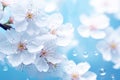 Ice blue spring background Royalty Free Stock Photo