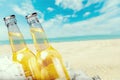 Beer bottles in ice on beach background Royalty Free Stock Photo