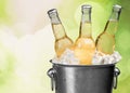 Beer bottles in ice on beach background Royalty Free Stock Photo