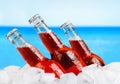 Beer bottles in ice on beach background Royalty Free Stock Photo