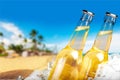 Beer bottles in ice on beach background Royalty Free Stock Photo