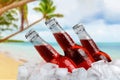 Beer bottles in ice on beach background Royalty Free Stock Photo