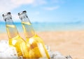 Beer bottles with ice on light background Royalty Free Stock Photo