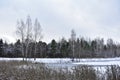 Ice bound the lake. Snow covered the paths in the forest. Frost on the trees. The sky