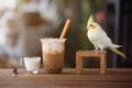 Ice bubble milk tea in takeaway glass Royalty Free Stock Photo