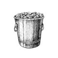 Ice bucket. Hand drawn isolated vector illustration. Jar for alcohol drink in engraved style. Royalty Free Stock Photo