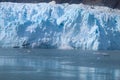 Ice calves off a glacier and falls into the sea Royalty Free Stock Photo